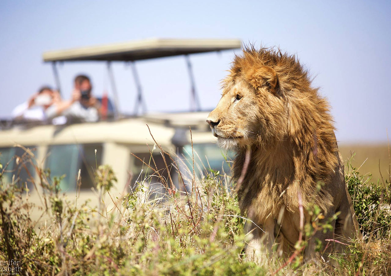 7 Day Private Safari Camping (Budget) in Tanzania.